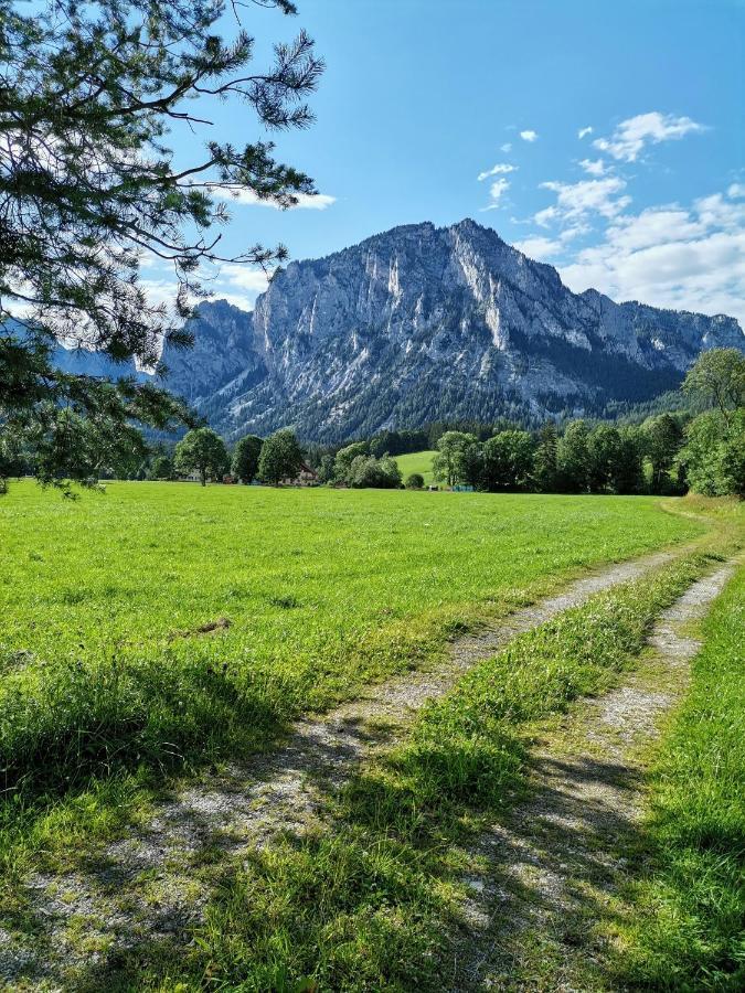 Haus Bergblick Fruehstueckspension Oberort Eksteriør bilde