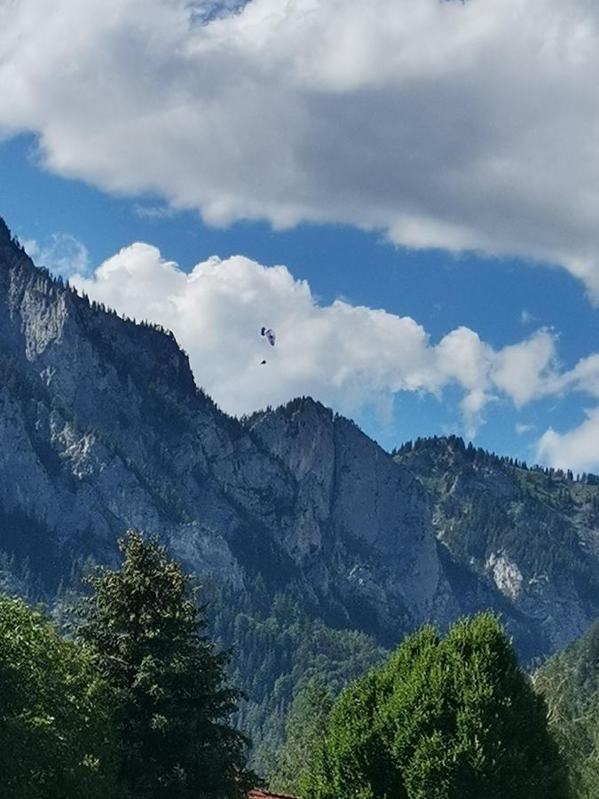 Haus Bergblick Fruehstueckspension Oberort Eksteriør bilde