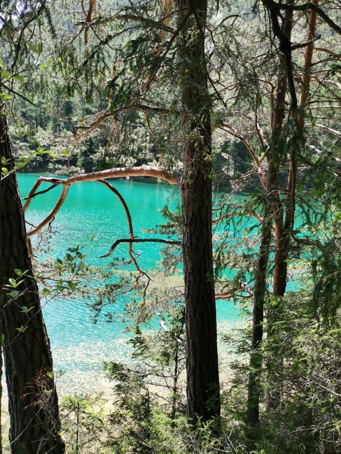 Haus Bergblick Fruehstueckspension Oberort Eksteriør bilde