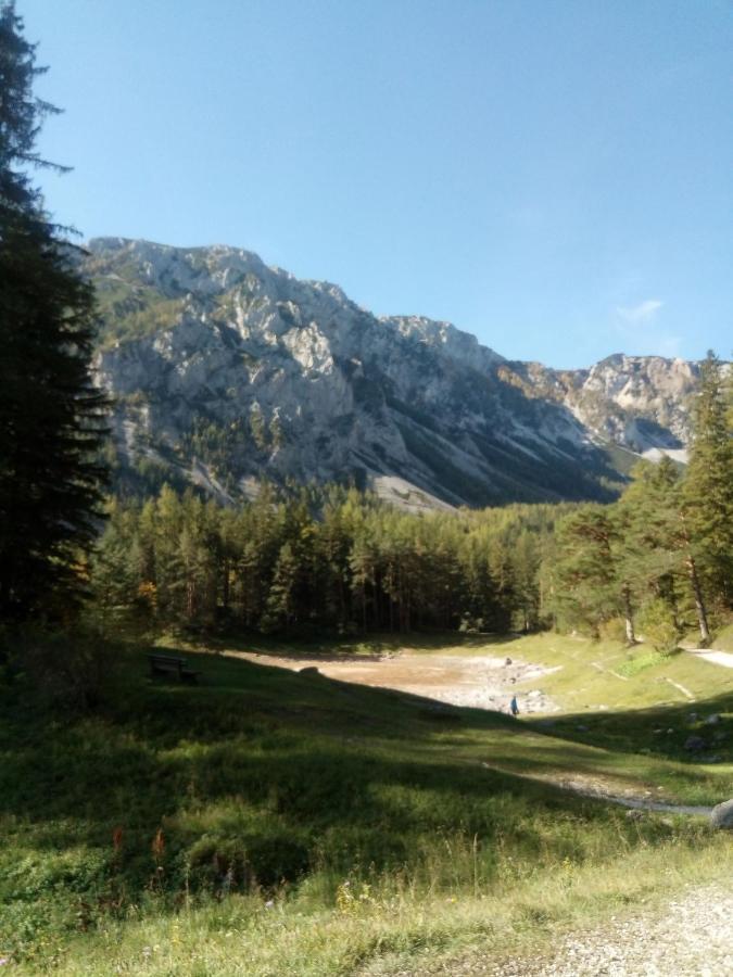 Haus Bergblick Fruehstueckspension Oberort Eksteriør bilde